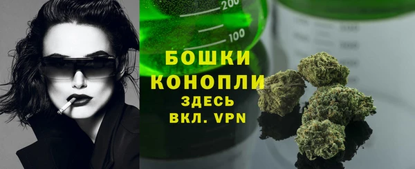 гашик Надым