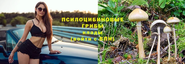амф Алексеевка